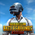 pubgǷ  v0.7.1