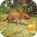 疯狂老鼠王2021版 v1.0