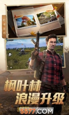 和平精英双十一返场版