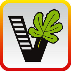 ��Ҫ��ѧ��