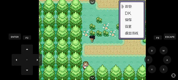 口袋妖怪燃之智汉化版gba