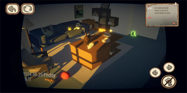 �˴�Ӧ��è����