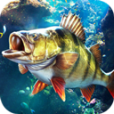 ���ֵ����ʦ�ƽ�����ذ�װ