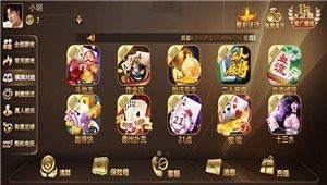 ��ʥ�����ֻ���