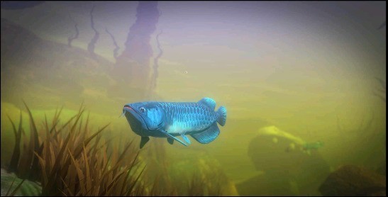 ���״���ɱ���������޽��-���״���ɱ�ƽ�����޽�������������v2.0.5