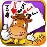 ������ţ���°�