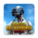 pubg�����������ʷ�����