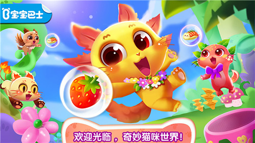 ����è������2026�ƽ����������