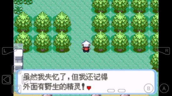 �ڴ���������ľ��׿��-�ڴ���������ľ��Ѱ�����v1.0