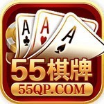 55����  v2.3.1