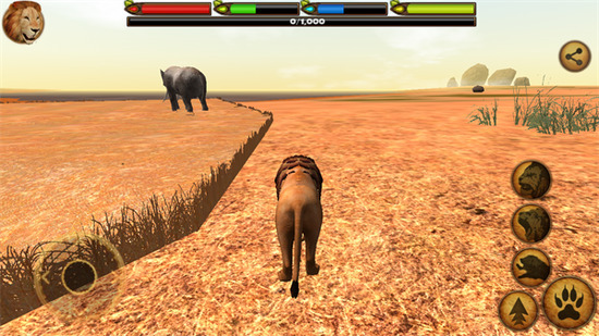 �ռ�ʨ��ģ�������İ�����