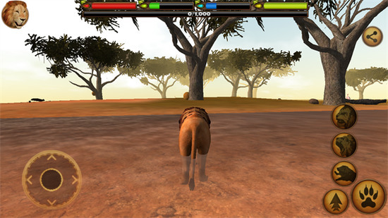 �ռ�ʨ��ģ�������İ�����