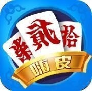 ��Ƥ�������̹�����