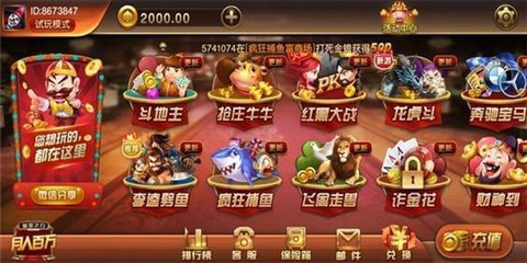 大资本国际棋盘娱乐