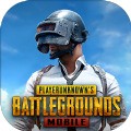 pubg(���ʰ�)�������